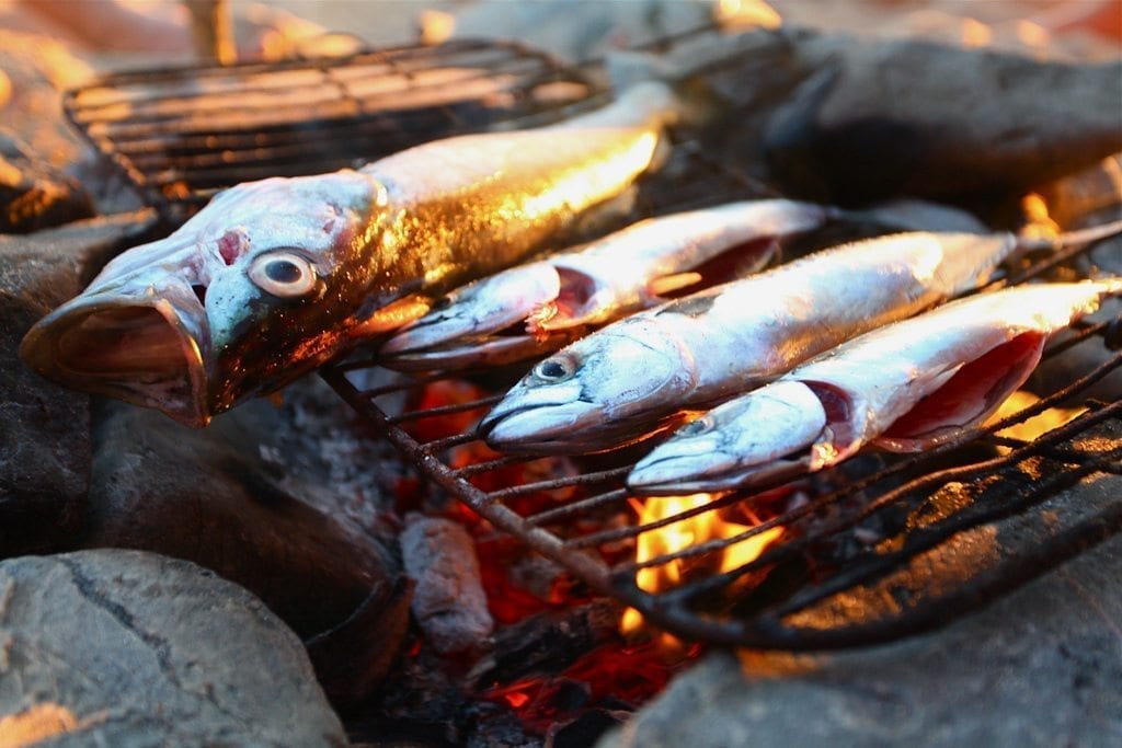 camping fish barbecue