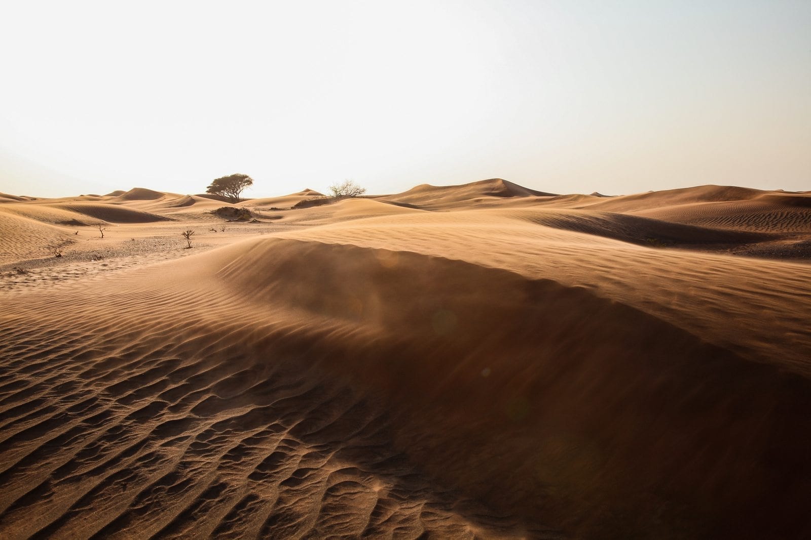 empty quarter desert dunes
