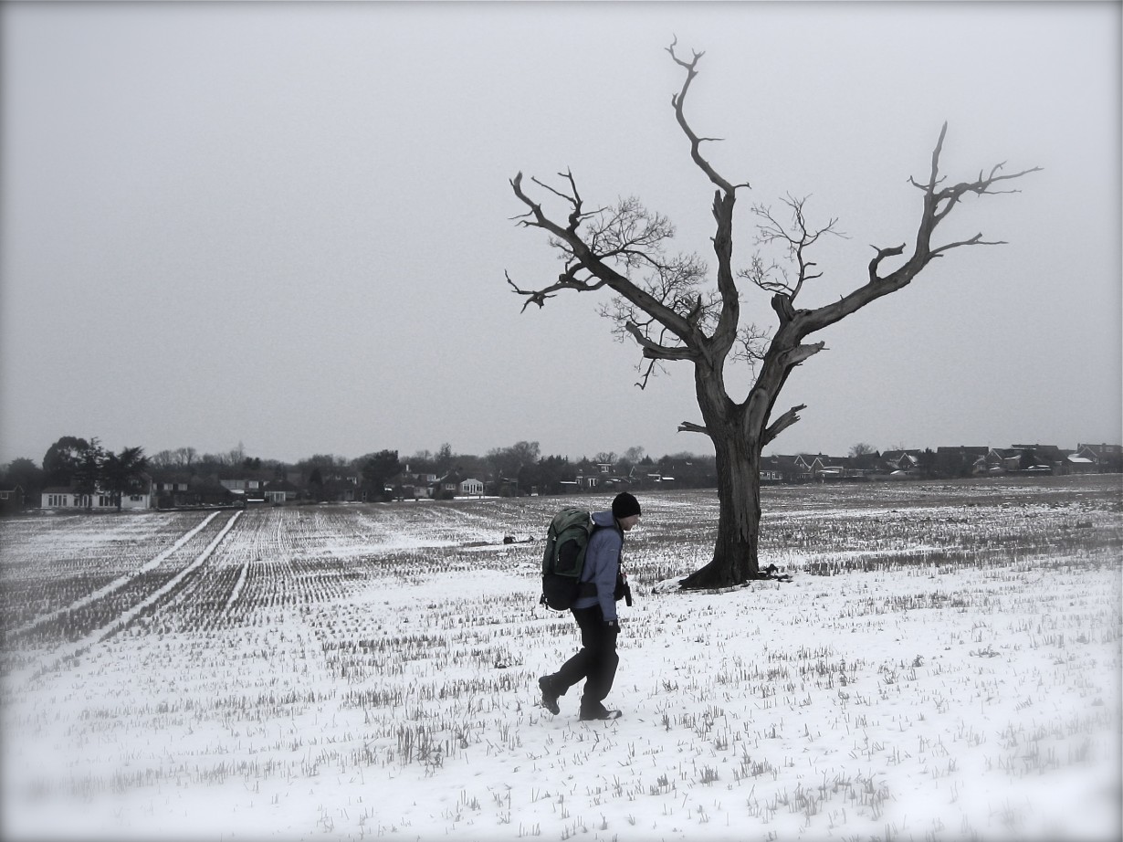 winter walking snow tree m25 microadventure