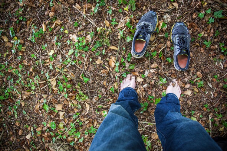 Adventures on Foot: in Praise of Simplicity and Slowness - Alastair ...