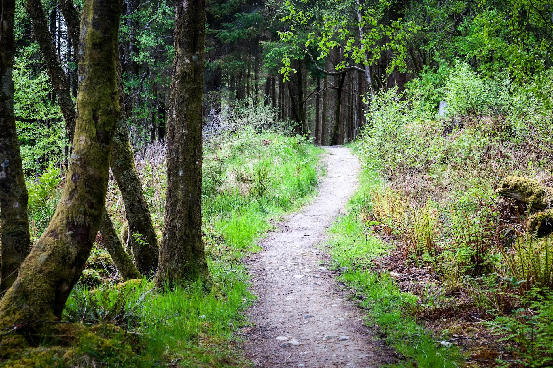 The Doorstep Mile – 03 The Doorstep Mile Newsletter will reveal why you want to change direction and how to build an adventurous spirit.