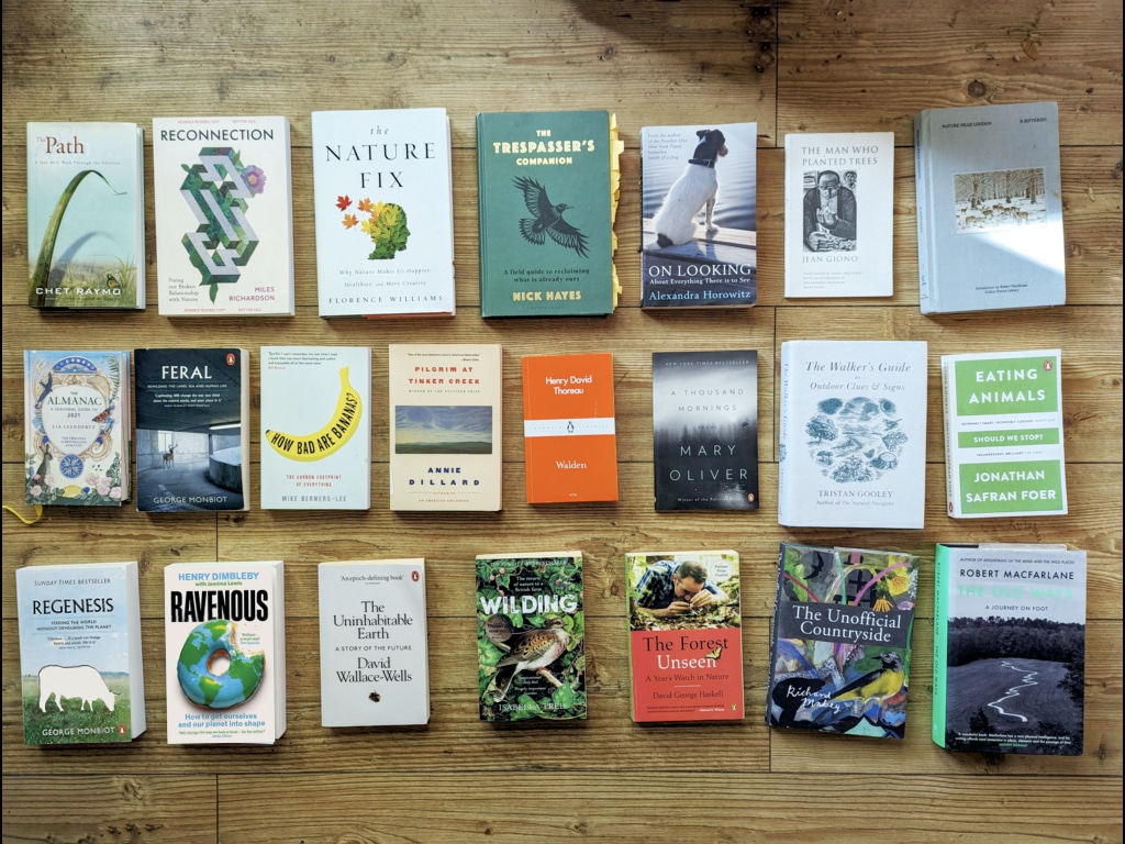 Ravenous Aspect In Diablo 4: How To Get, Legendary Key Passive, And More