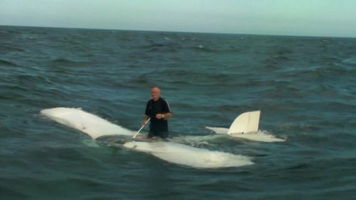 002jpeg_low_res 002jpeg_low_res