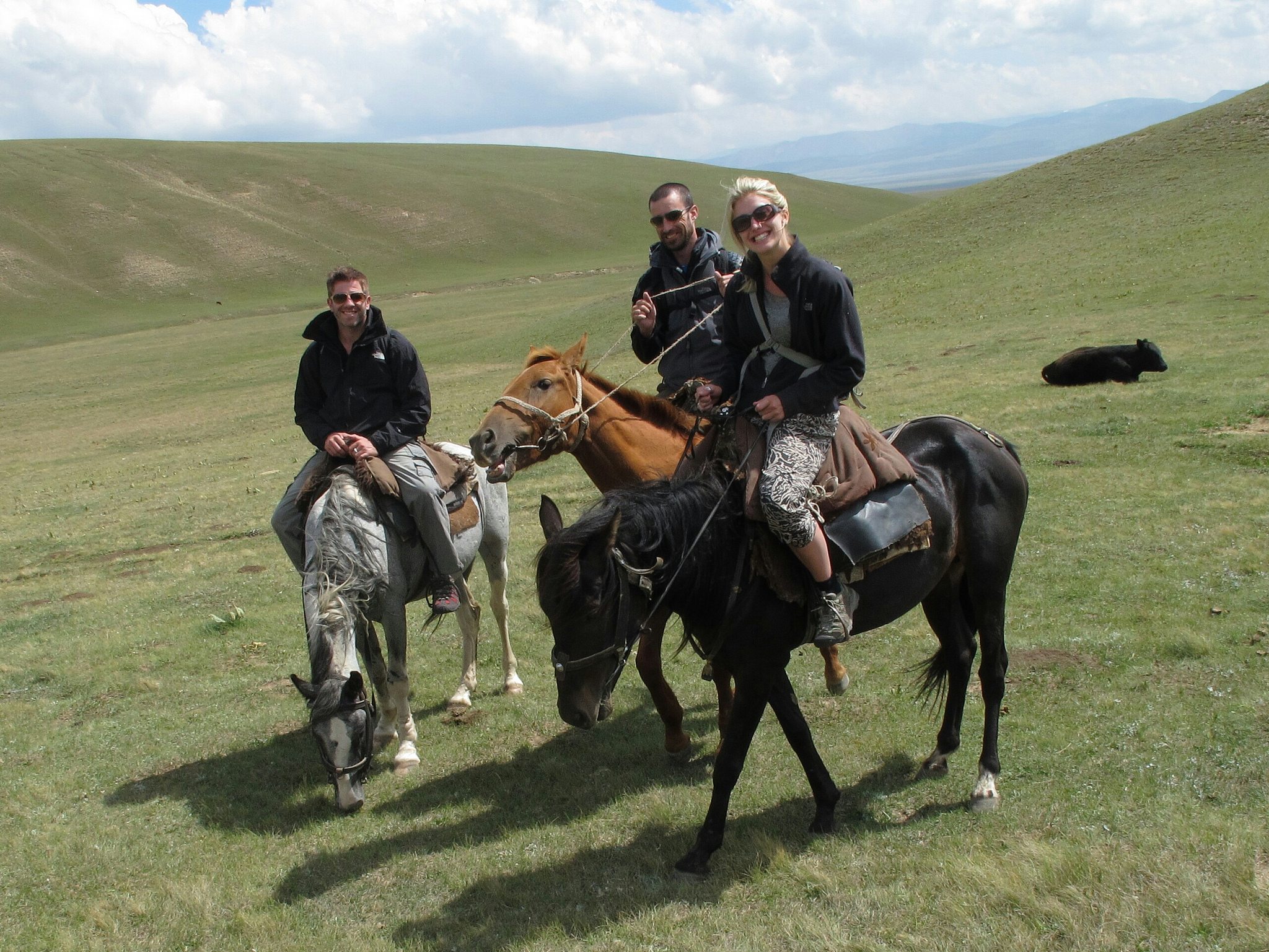 11379082406_f04b01cd1a_k