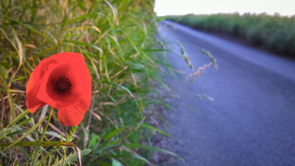 Make the Most of the Long Summer Evenings