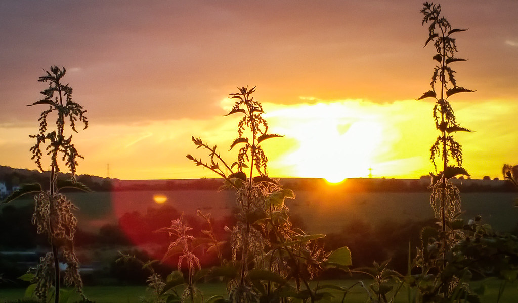 Make the Most of the Long Summer Evenings