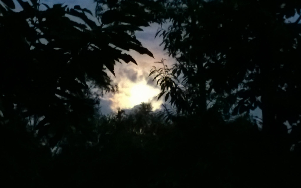 Crap photo of a wonderful moon