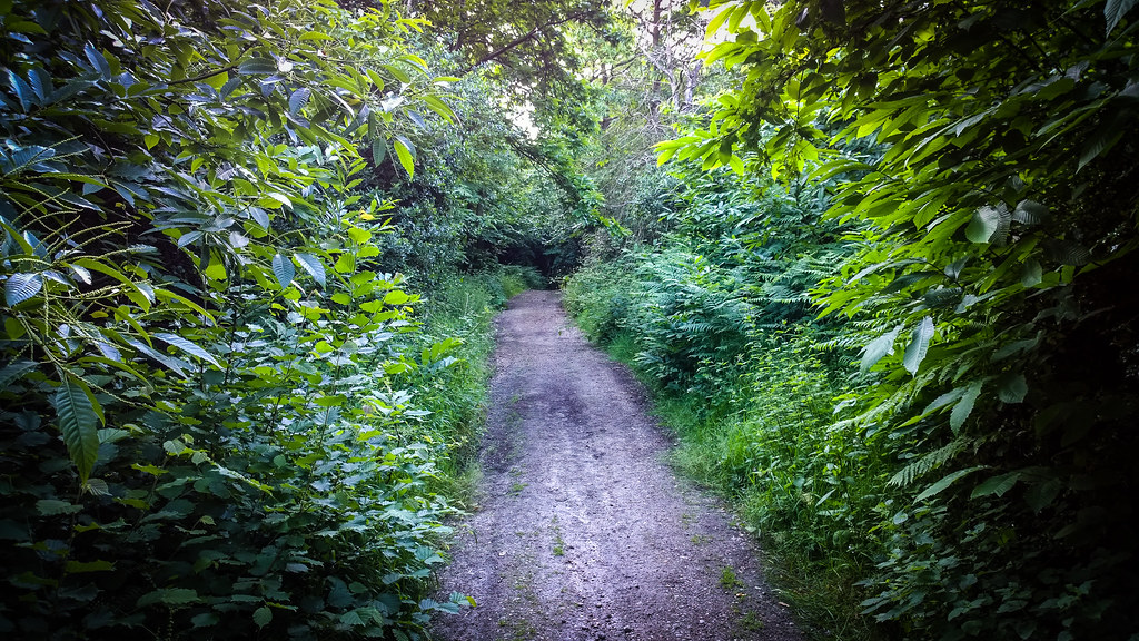 Make the Most of the Long Summer Evenings