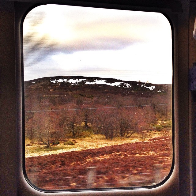 Go to sleep in the city; wake up to mountains and trees. Time to ride! Love this sleeper train. Fingers crossed for a typical week of blissful Scottish sunshine... Tonight I'mll be sleeping in a bothy beside the sea. Can't beat it! Anyone else had some goo