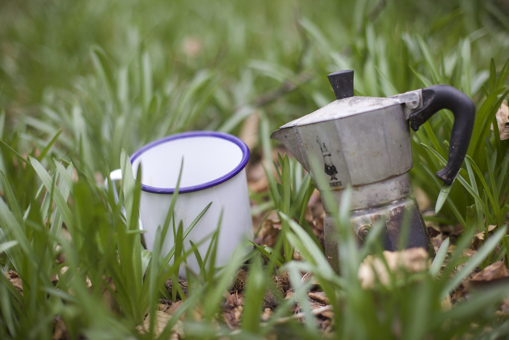Coffee in the woods