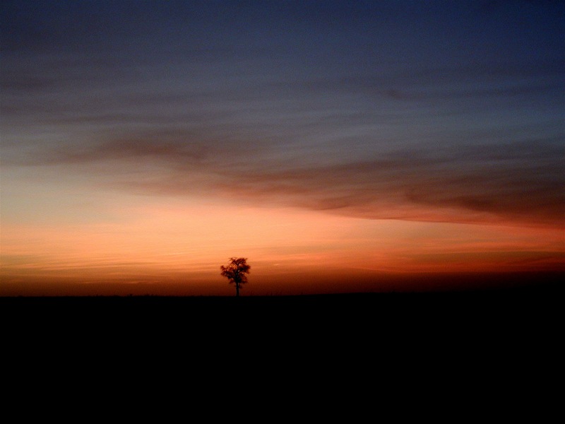 african sunset