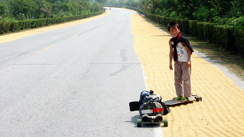 Drying rice on roadside near Huangchuang, Henan Province, China