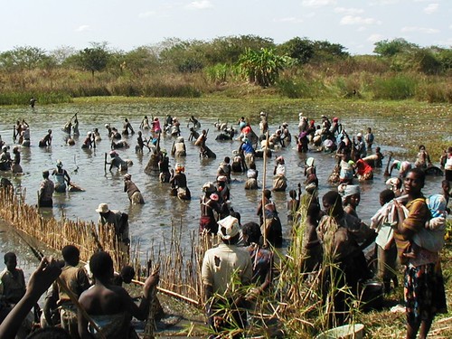 Basket fishing, Mozambique