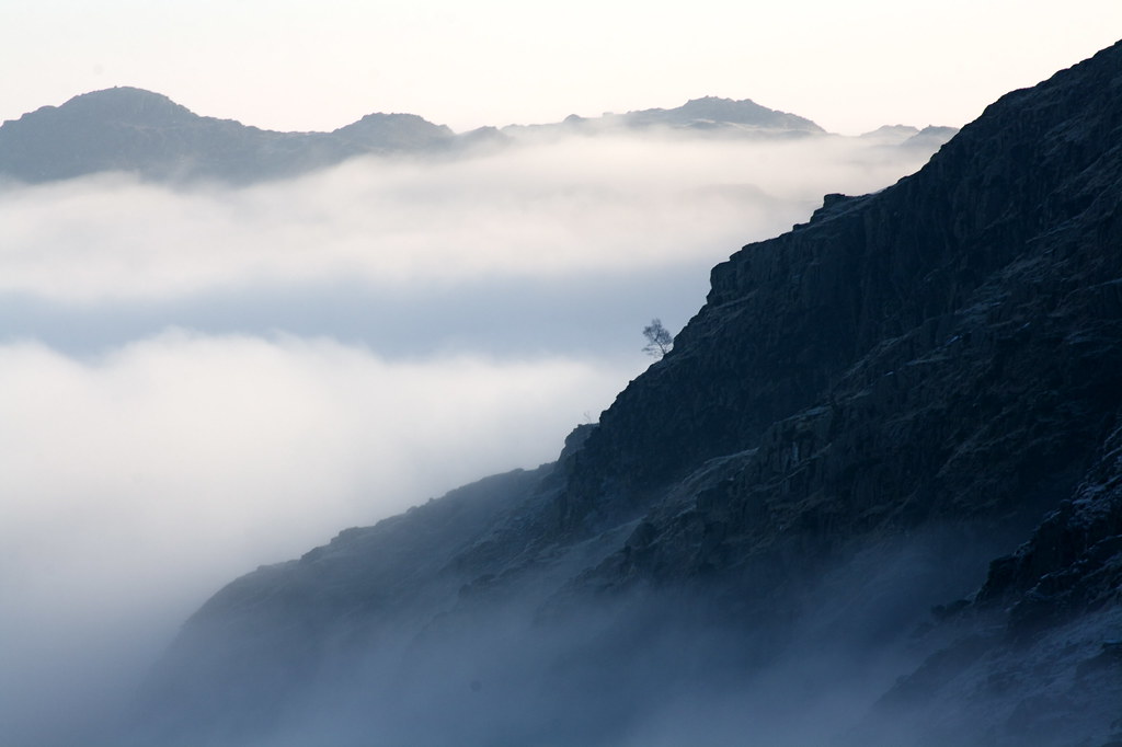 New Year in the Lake District. Lone tree on Wrynose Pass
