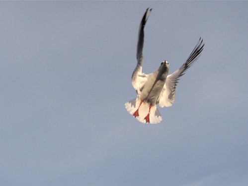 New Year in the Lake District
