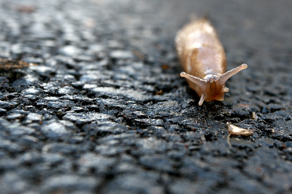 The odds aren't good...