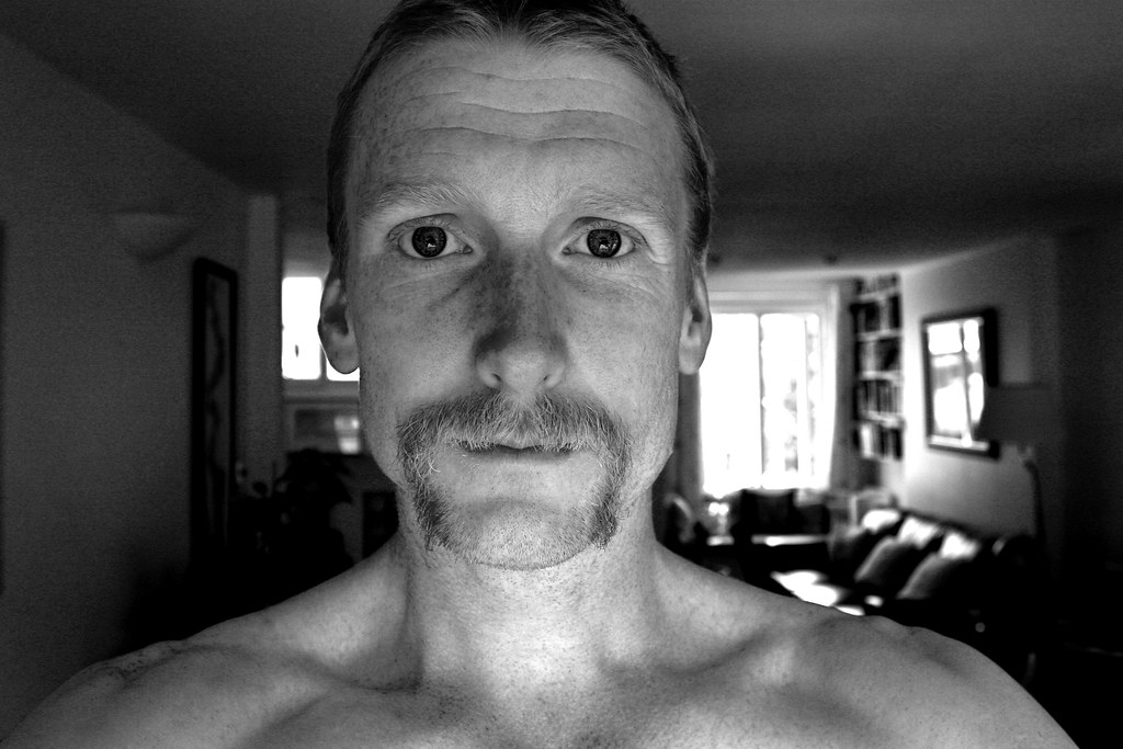 "No, Al" I say to myself