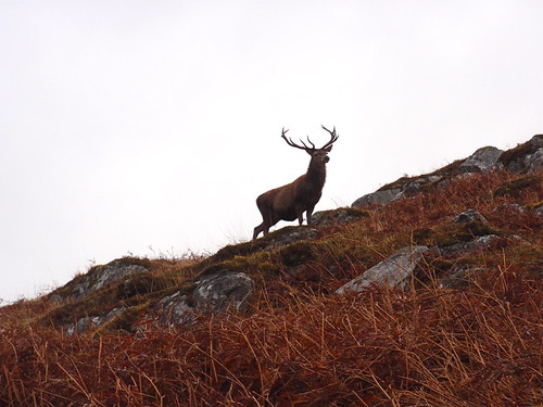 Across Scotland by foot and packraft