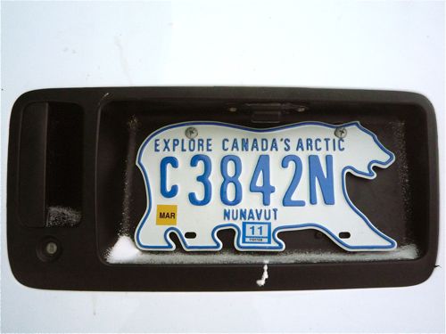 Polar Bear Number Plate