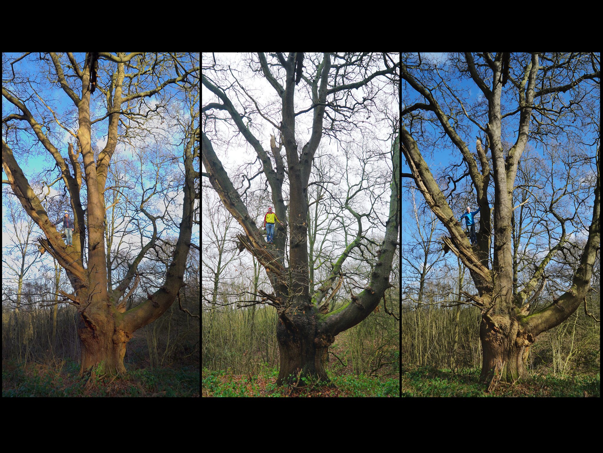 January February March