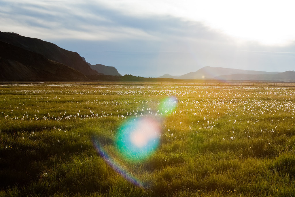 Laugavegur trekking route, Iceland