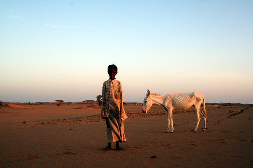 IMG_1151-DonkeyBoy-Sudan