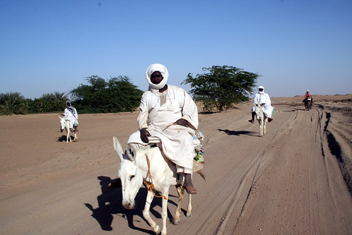 IMG_1232-Sudan