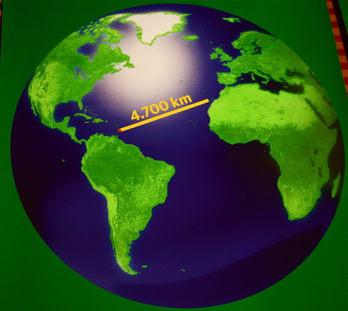Rowing the Atlantic Ocean