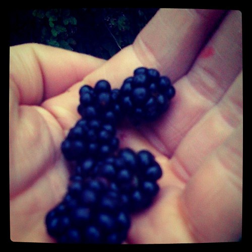 Foraging for breakfast