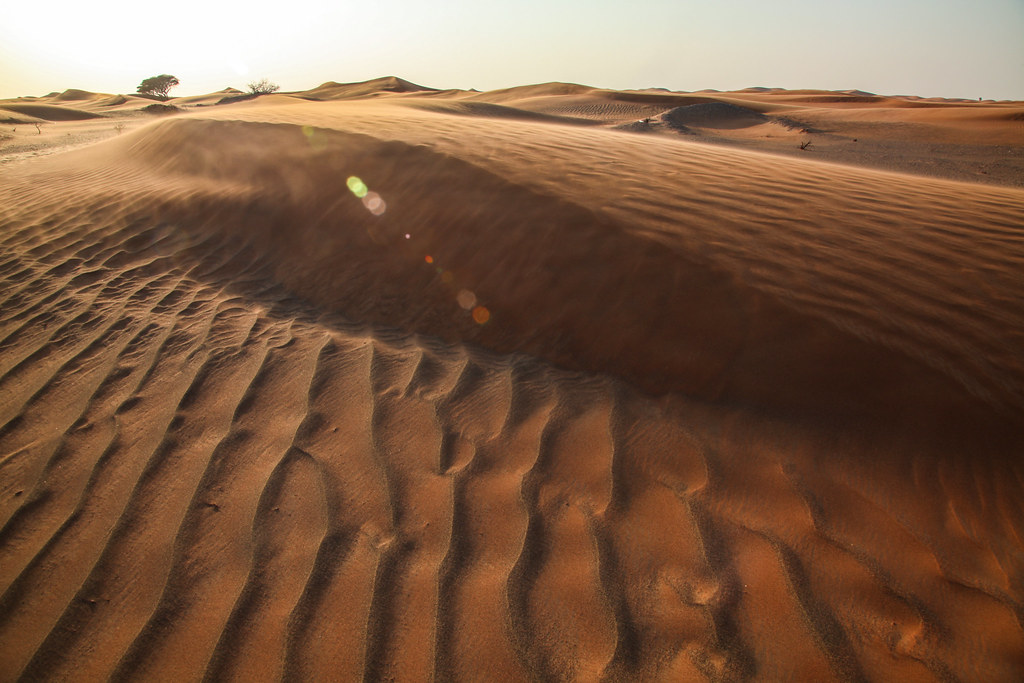 Sand Dunes