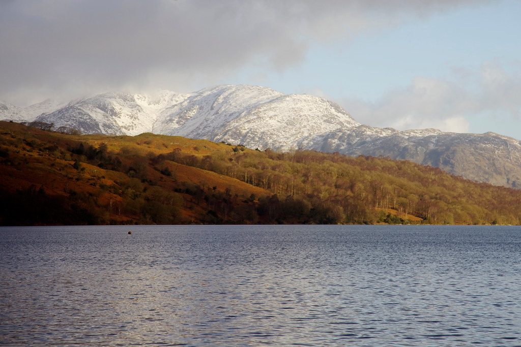 Mountain and Lake and Forest