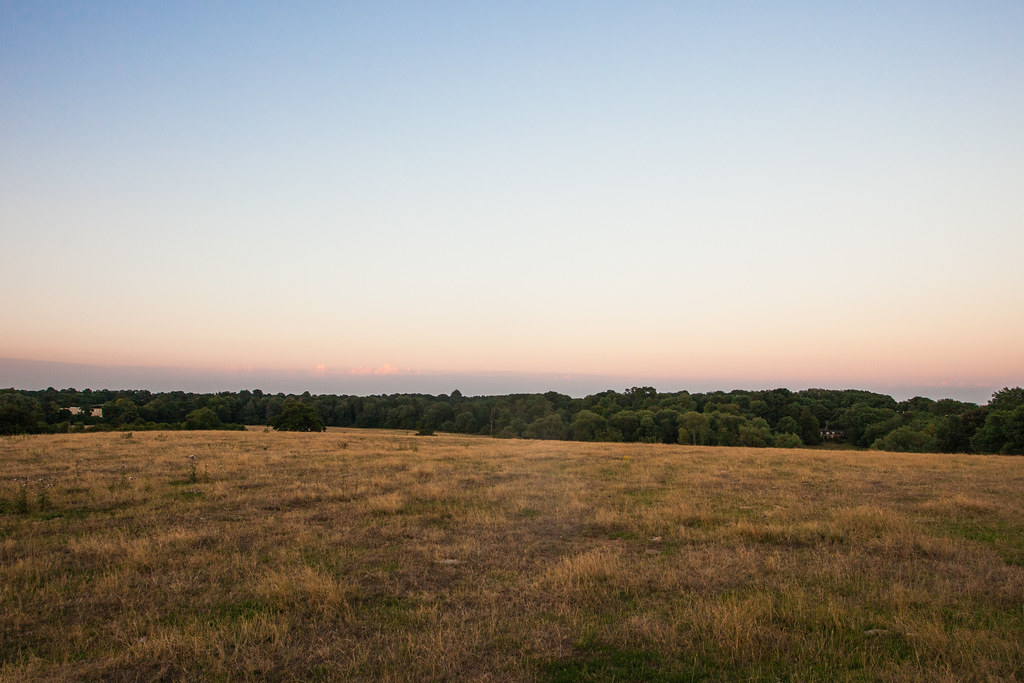 Shake Up Your Commute