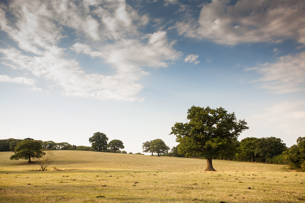 Shake Up Your Commute