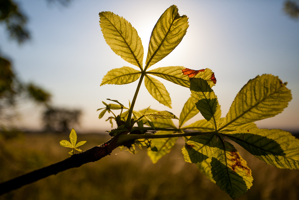 Shake Up Your Commute
