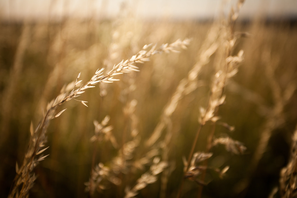 Shake Up Your Commute