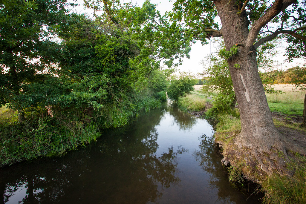 Shake Up Your Commute