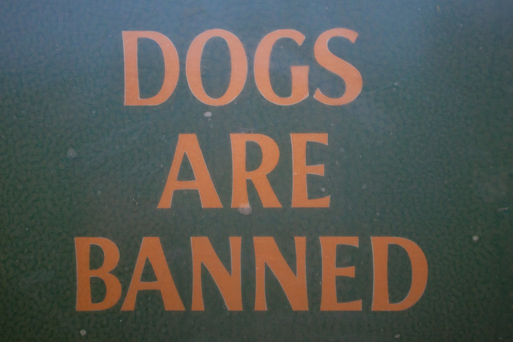 Dogs Are Banned