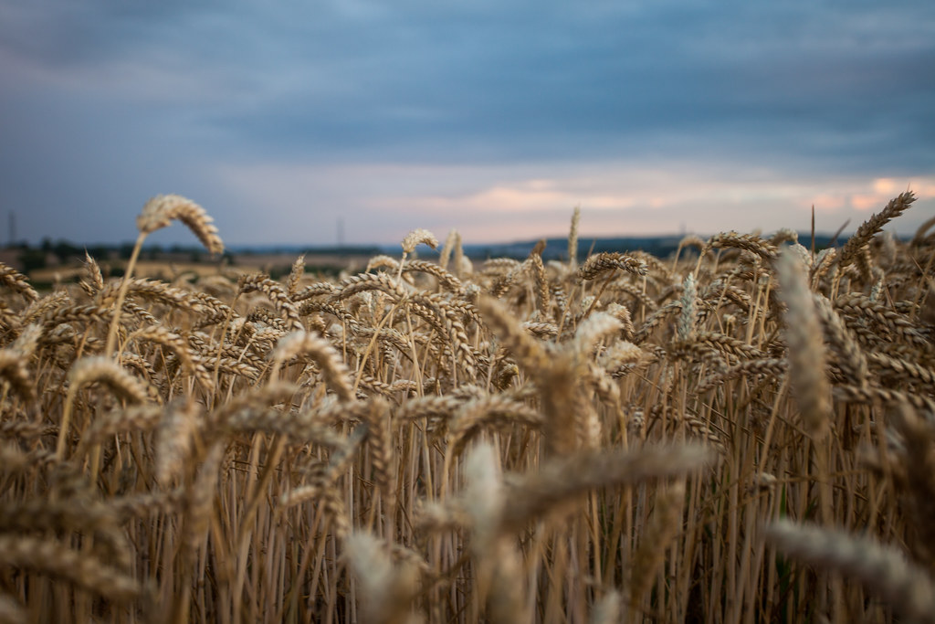 My first view upon waking this morning