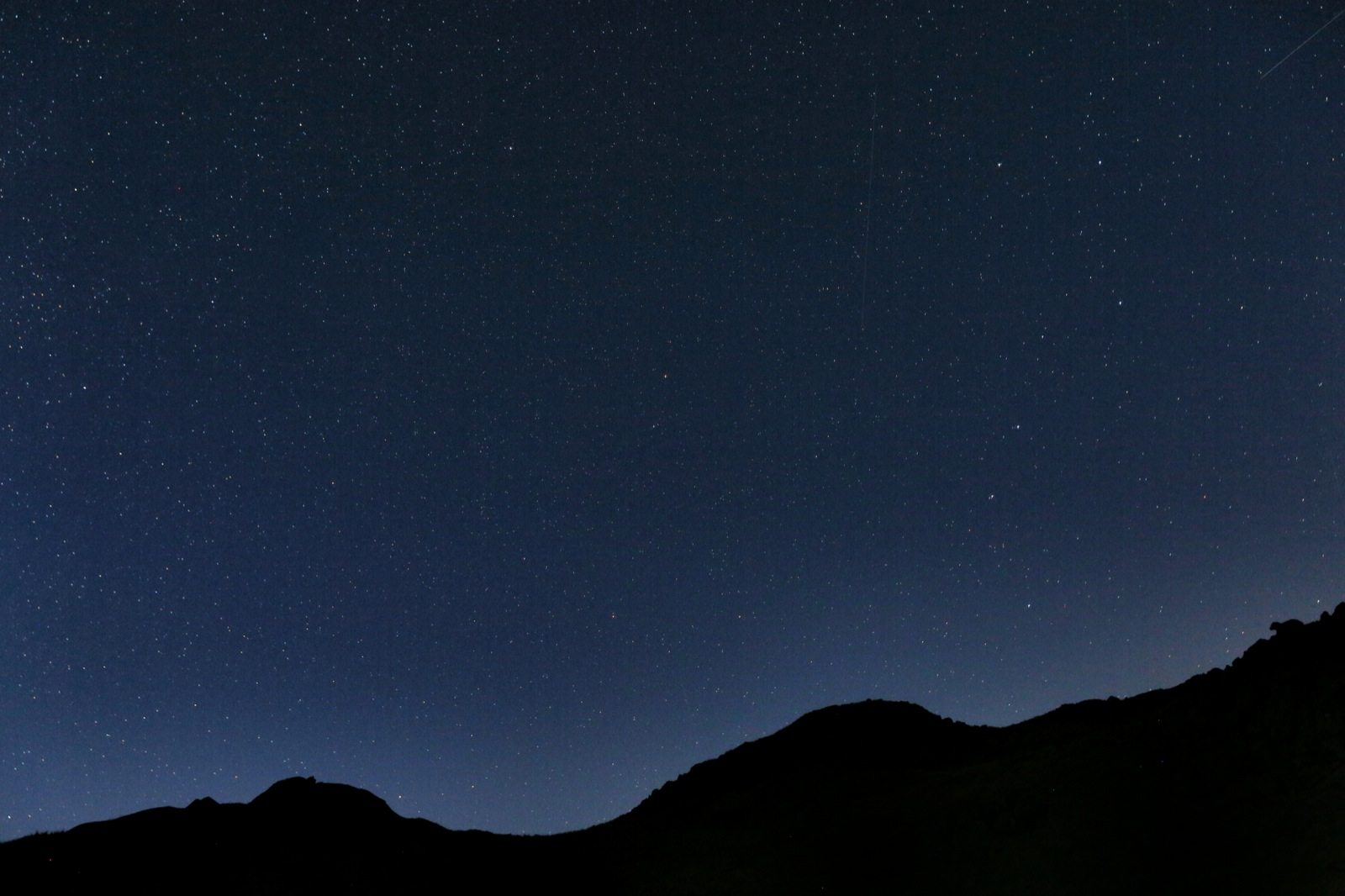 AY2A9427_Snapseed copy