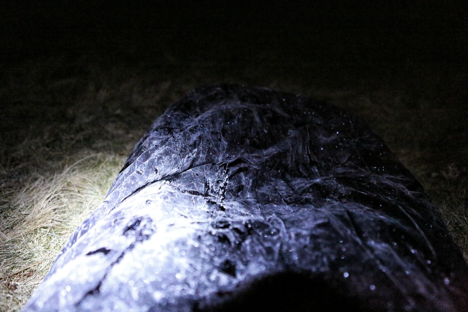 AY2A9506_Snapseed copy