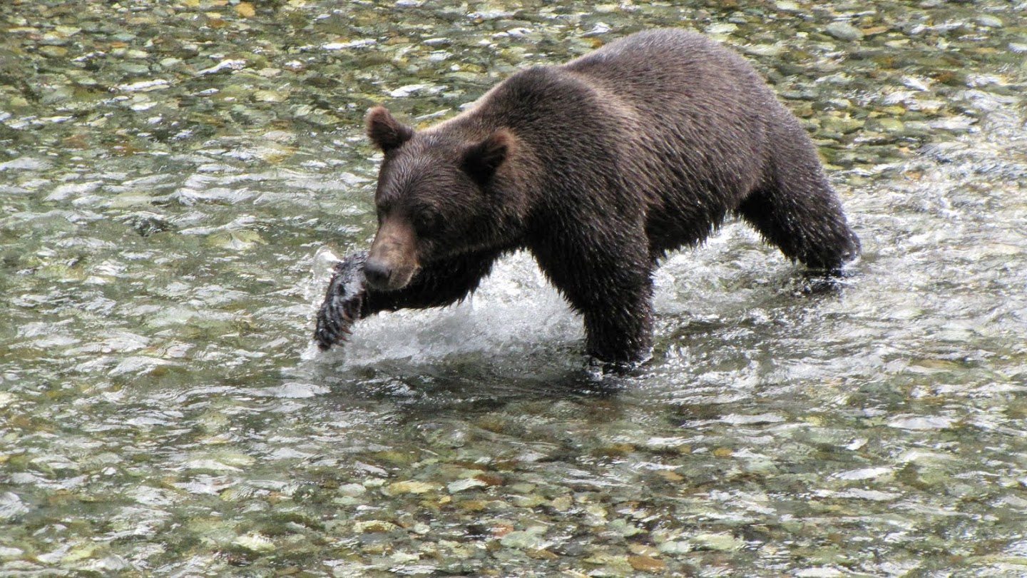 Inuvik to Banff 203_edited-1