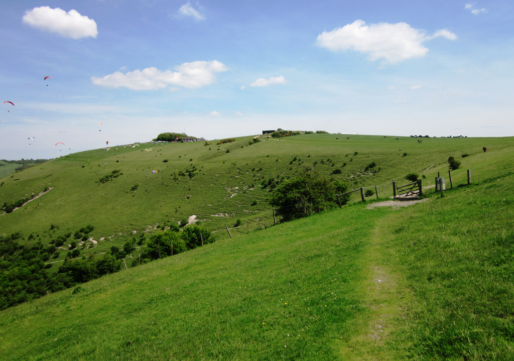 Leimenide ccbysa 10249915153_86688cf431_o