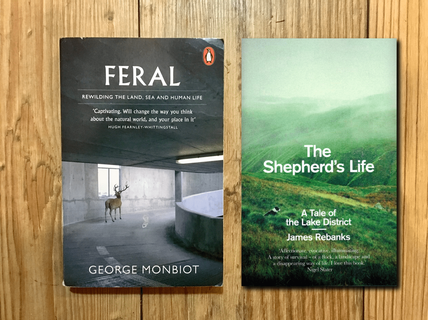 screen-shot-2016-11-28-at-17-00-52