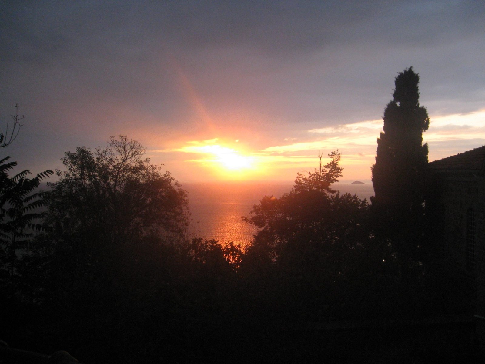 Tom Lloyd-Jones IMG_0296