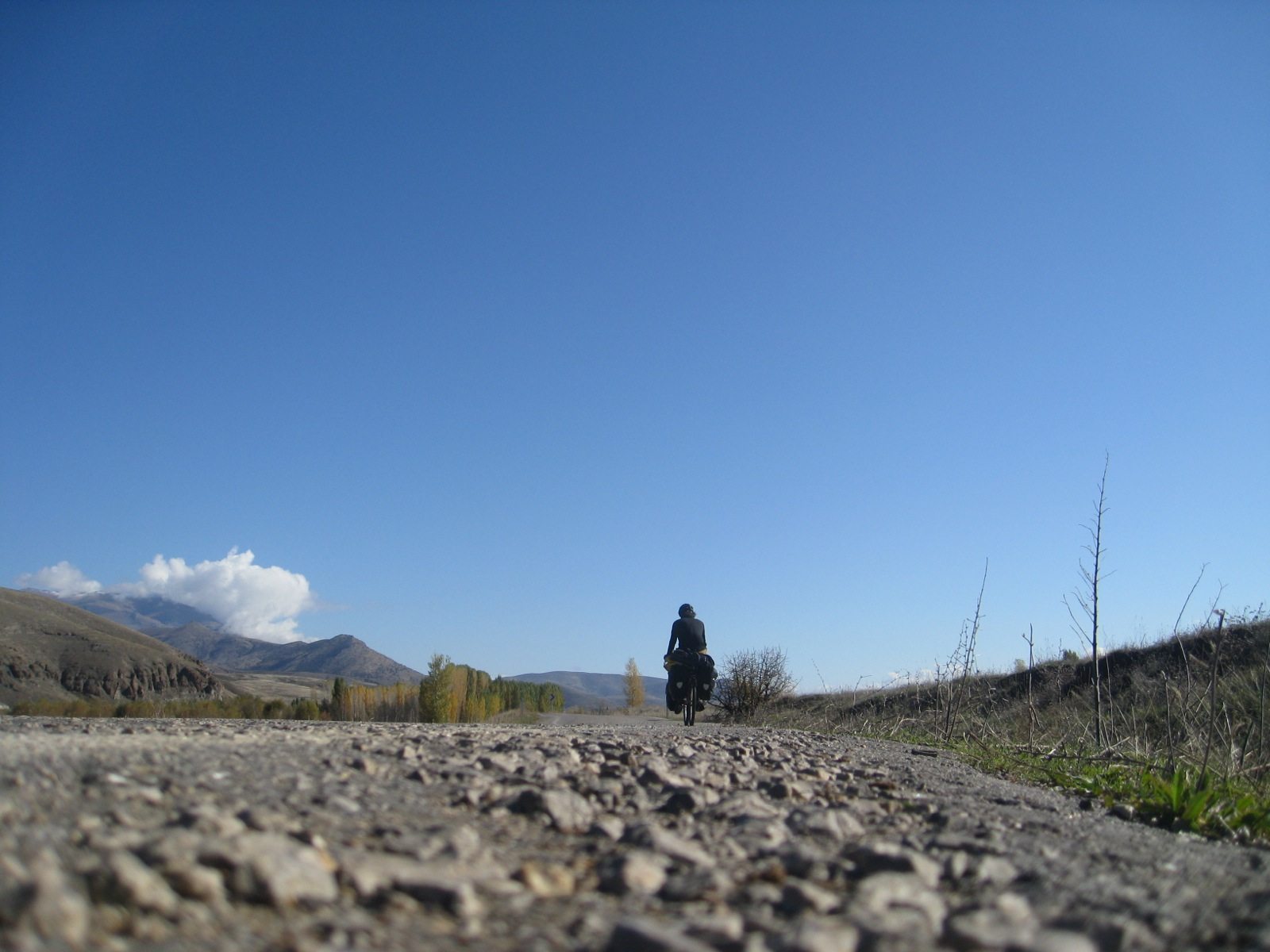 Tom Lloyd-Jones IMG_0447