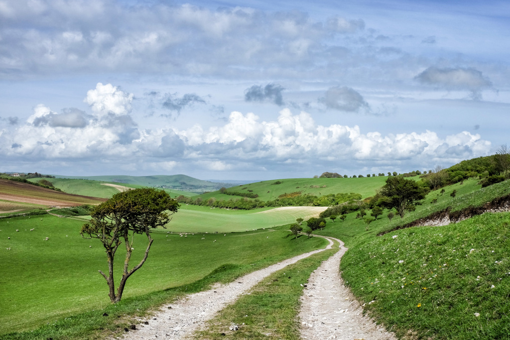 view to caburn ccbysa peter castleton 14043214513_9f158569a4_o